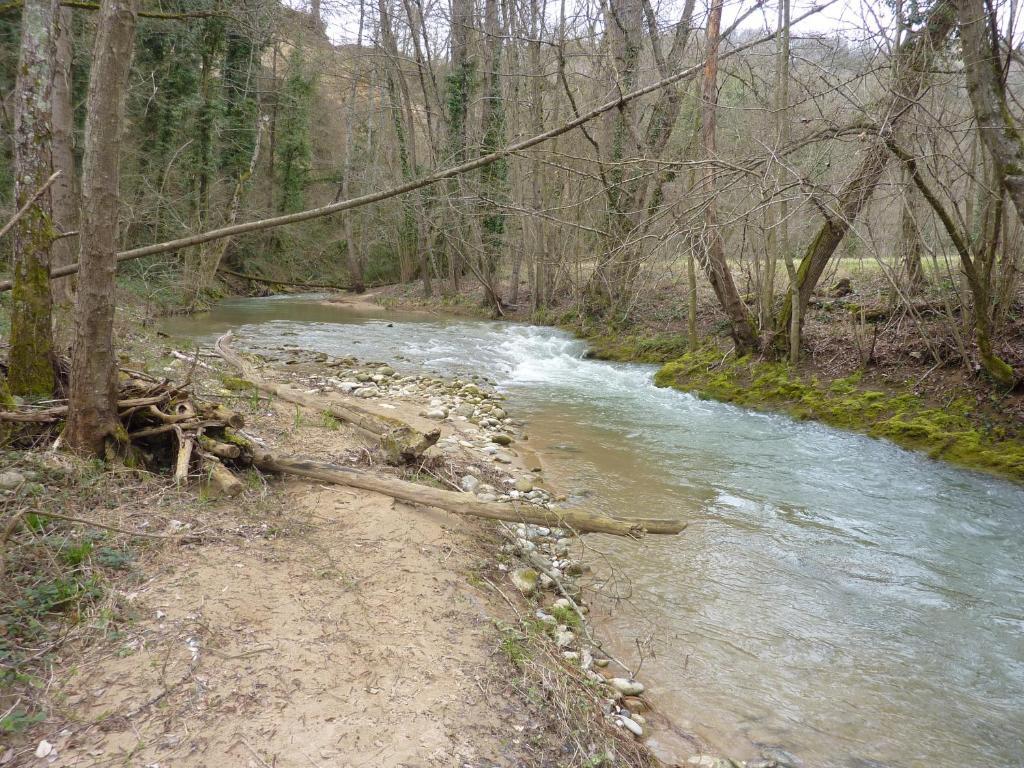 Auberge Du Viaduc Saint-Lattier Pokój zdjęcie